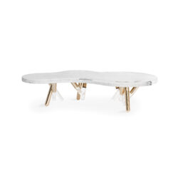 ness-coffee-table