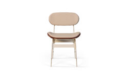 dining-chair