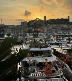 cannes-yachting-festival